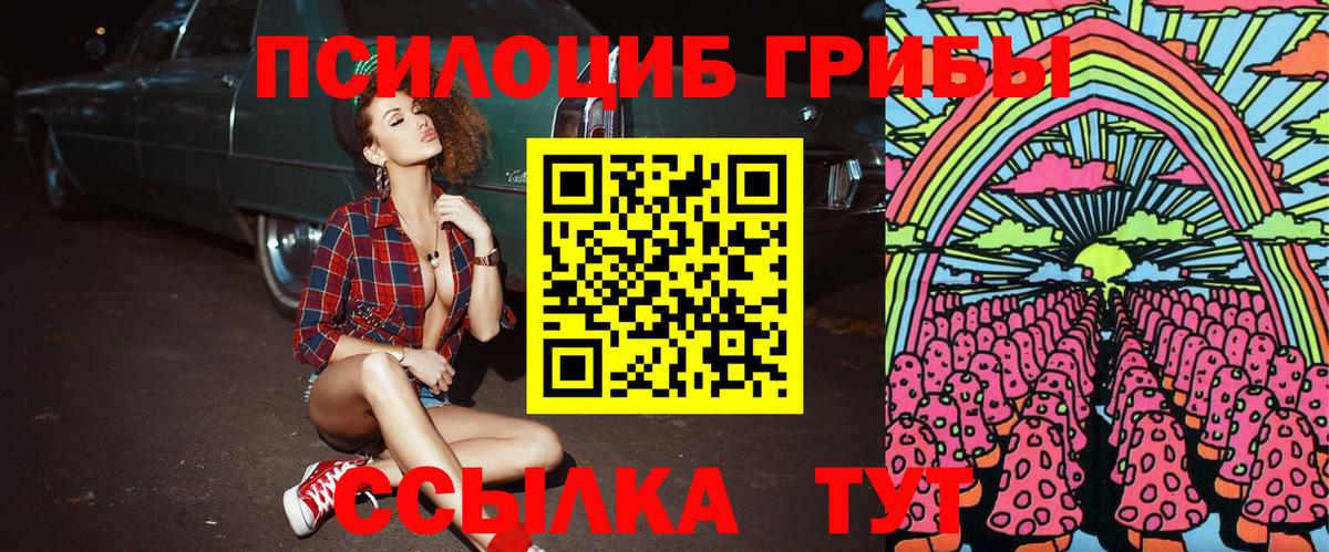 Псилоцибиновые грибы MAGIC MUSHROOMS  Вход с VPN  Галлюциногенные грибы прущие грибы  Карталы 