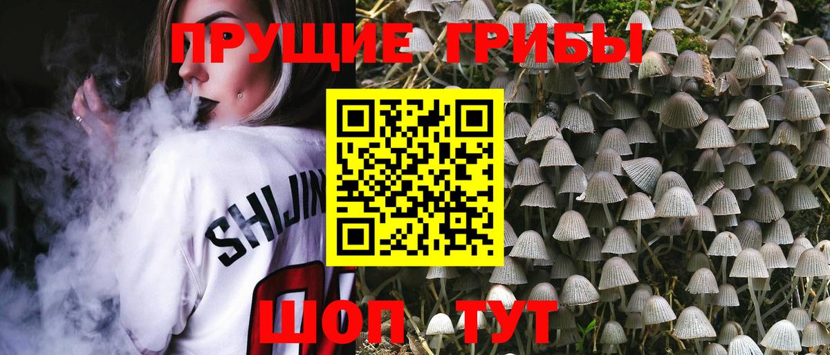 Галлюциногенные грибы Magic Shrooms Карталы